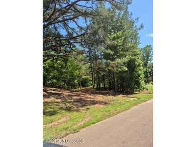 Beautiful 3-acre lake front lot located in the Lake Wood Hills - photo 5