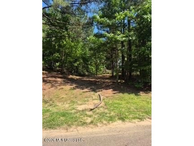 Beautiful 3-acre lake front lot located in the Lake Wood Hills - photo 6