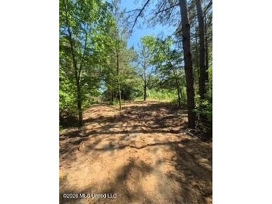 Beautiful 3-acre lake front lot located in the Lake Wood Hills - photo 7