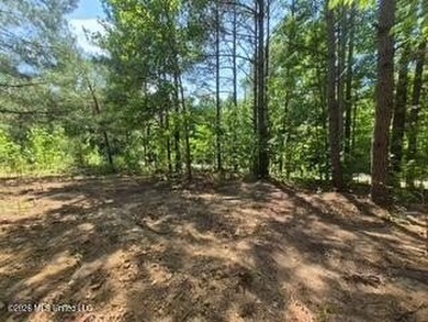 Beautiful 3-acre lake front lot located in the Lake Wood Hills - photo 8
