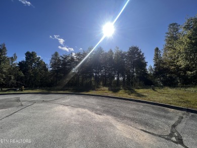Lake Lot For Sale in Harriman, Tennessee