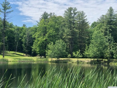 (private lake, pond, creek) Acreage For Sale in East Nassau New York