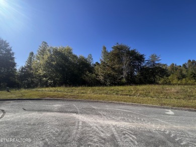 Lake Lot For Sale in Harriman, Tennessee