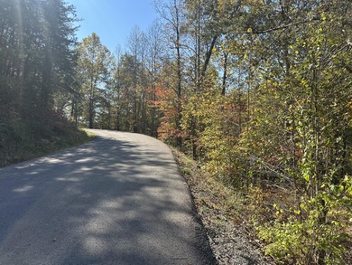 Looking for a wooded building lot near Wood Creek Lake? This .78 - photo 11