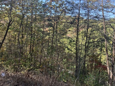 Looking for a wooded building lot near Wood Creek Lake? This .78 - photo 12