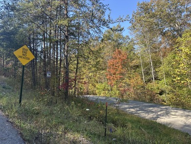 Looking for a wooded building lot near Wood Creek Lake? This .78 - photo 13