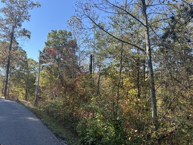 Looking for a wooded building lot near Wood Creek Lake? This .78 - photo 14