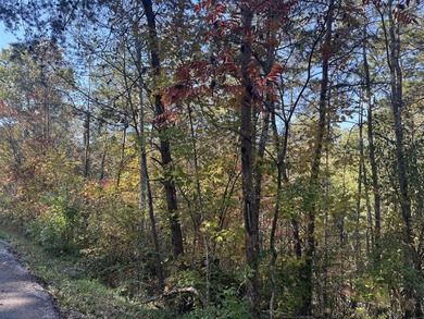 Looking for a wooded building lot near Wood Creek Lake? This .78 - photo 15