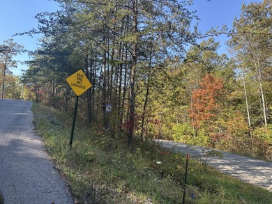 Looking for a wooded building lot near Wood Creek Lake? This .78 - photo 16
