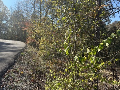 Looking for a wooded building lot near Wood Creek Lake? This .78 - photo 17