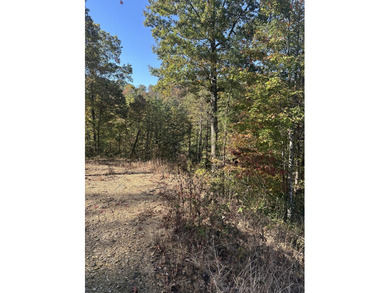 Looking for a wooded building lot near Wood Creek Lake? This .78 - photo 18