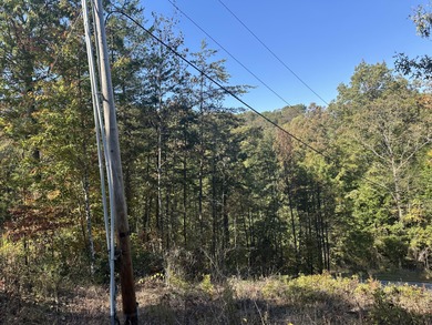 Looking for a wooded building lot near Wood Creek Lake? This .78 - photo 19