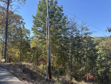 Looking for a wooded building lot near Wood Creek Lake? This .78 - photo 20