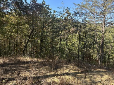Looking for a wooded building lot near Wood Creek Lake? This .78 - photo 21
