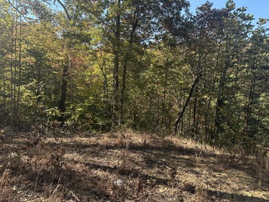 Looking for a wooded building lot near Wood Creek Lake? This .78 - photo 22