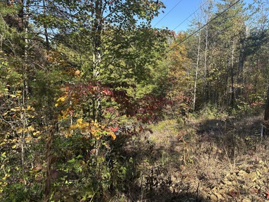 Looking for a wooded building lot near Wood Creek Lake? This .78 - photo 23