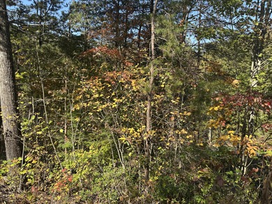 Looking for a wooded building lot near Wood Creek Lake? This .78 - photo 24