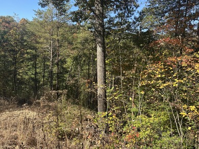 Looking for a wooded building lot near Wood Creek Lake? This .78 - photo 25