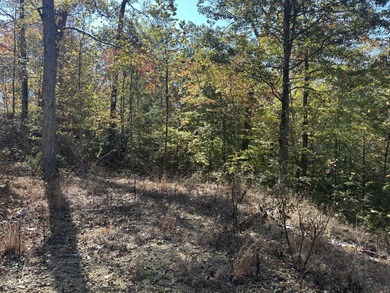 Looking for a wooded building lot near Wood Creek Lake? This .78 - photo 26