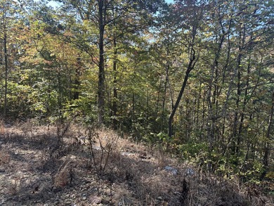 Looking for a wooded building lot near Wood Creek Lake? This .78 - photo 27