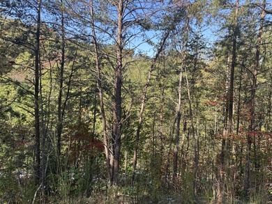 Looking for a wooded building lot near Wood Creek Lake? This .78 - photo 28