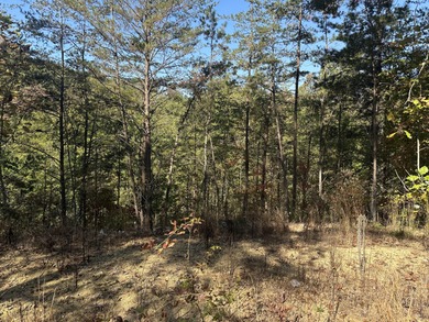 Looking for a wooded building lot near Wood Creek Lake? This .78 - photo 29