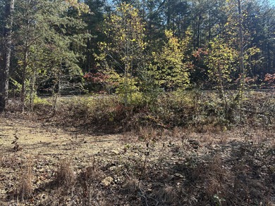 Looking for a wooded building lot near Wood Creek Lake? This .78 - photo 30