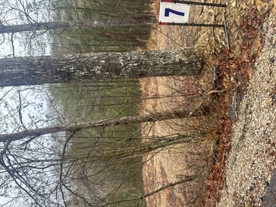 Looking for a wooded building lot near Wood Creek Lake? This .78 - photo 31
