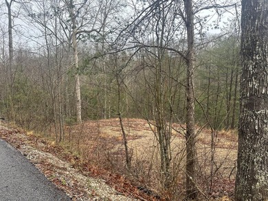 Looking for a wooded building lot near Wood Creek Lake? This .78 - photo 32