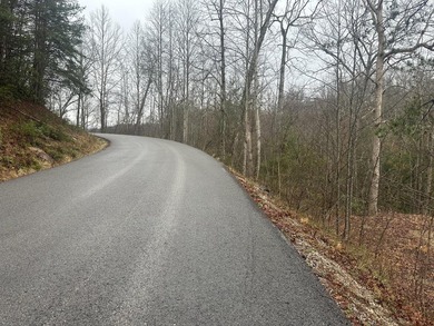 Looking for a wooded building lot near Wood Creek Lake? This .78 - photo 33