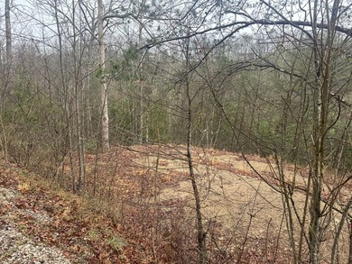 Looking for a wooded building lot near Wood Creek Lake? This .78 - photo 34