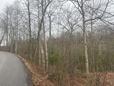 Looking for a wooded building lot near Wood Creek Lake? This .78 - photo 35
