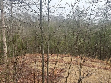 Looking for a wooded building lot near Wood Creek Lake? This .78 - photo 36