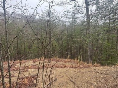 Looking for a wooded building lot near Wood Creek Lake? This .78 - photo 37