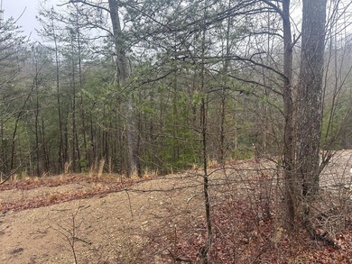 Looking for a wooded building lot near Wood Creek Lake? This .78 - photo 38