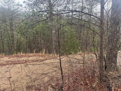 Looking for a wooded building lot near Wood Creek Lake? This .78 - photo 39