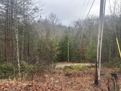 Looking for a wooded building lot near Wood Creek Lake? This .78 - photo 41