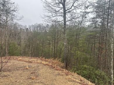 Looking for a wooded building lot near Wood Creek Lake? This .78 - photo 42