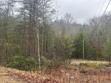 Looking for a wooded building lot near Wood Creek Lake? This .78 - photo 43