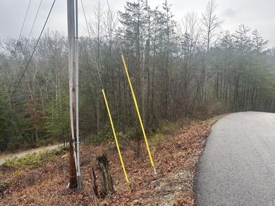 Looking for a wooded building lot near Wood Creek Lake? This .78 - photo 44