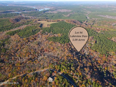 Blewett Falls Lake Acreage For Sale in Rockingham North Carolina