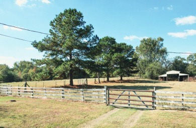 HOME ON 20+ ACRES WITH BARN & POLE BARN IN QUITMAN TX - photo 28