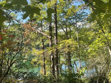 Lake Lot For Sale in Bryson City, North Carolina