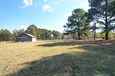 HOME ON 20+ ACRES WITH BARN & POLE BARN IN QUITMAN TX - photo 26