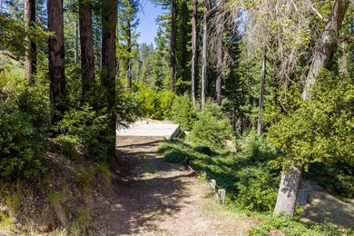 Set among towering trees and filtered sunlight, this Boulder - photo 3