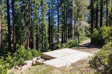 Set among towering trees and filtered sunlight, this Boulder - photo 4