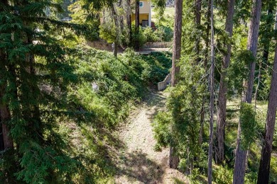Set among towering trees and filtered sunlight, this Boulder - photo 5