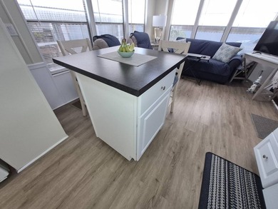 Charming Renovated 1986 DRE Mobile Home in , Largo This - photo 11