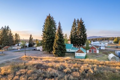 Payette Lake Commercial For Sale in Mccall Idaho