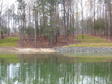 Discover 'The Pointe at Kerr Lake'. An exclusive pool community - photo 6